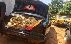 Drug suspect injures himself in attempt to flee   arrest
