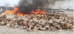 DLEAG destroys tons of drugs worth over D100M