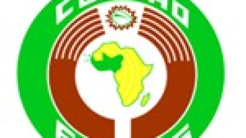 Senegalese troop rotation ‘not linked’ to Gambia’s forthcoming elections: ECOMIG