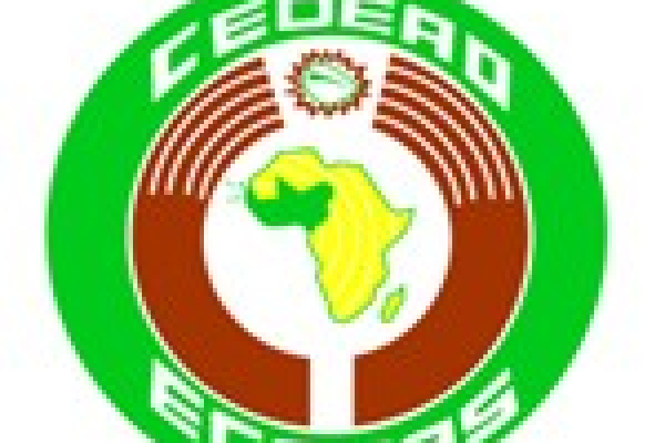 Senegalese troop rotation ‘not linked’ to Gambia’s forthcoming elections: ECOMIG