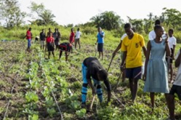 ECOWAS directs effort at agribusiness, youth empowerment