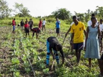 ECOWAS directs effort at agribusiness, youth empowerment
