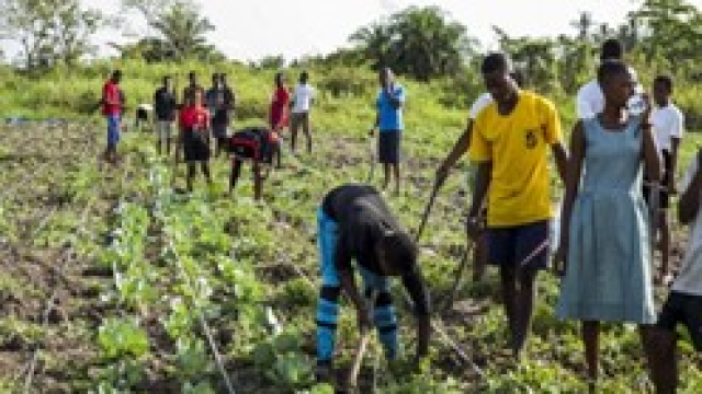ECOWAS directs effort at agribusiness, youth empowerment