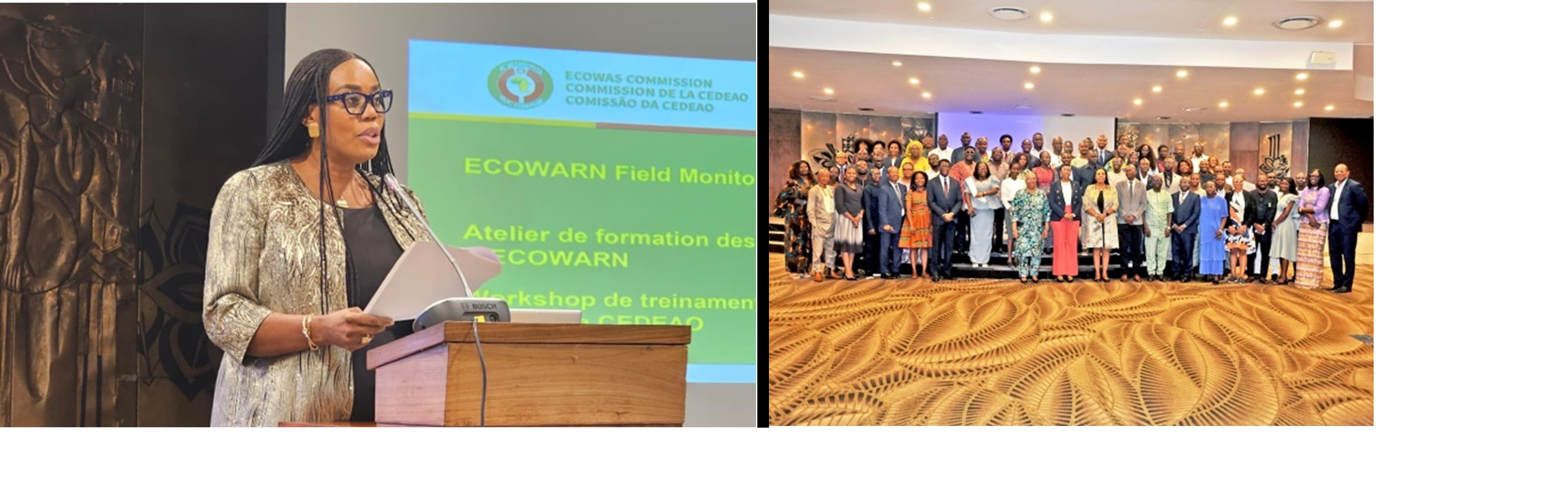 ECOWAS explores use of AI to improve Early Warning data collection, analysis