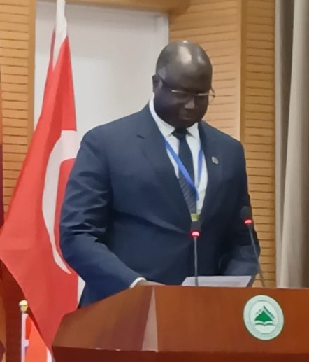 China inspires Gambia in sustainable forest management