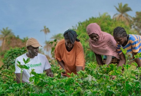 Eco Soil Co-Founder calls on farmers to embrace organic fertilizer