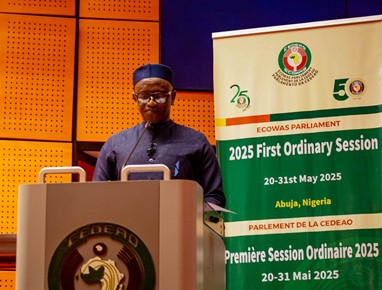 Gambia tells Ecowas Parliament over 600 at risk of statelessness in Ghana Town