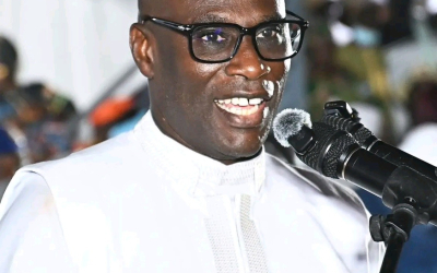 Alliance with NPP not focused on jobs, positions: Faal