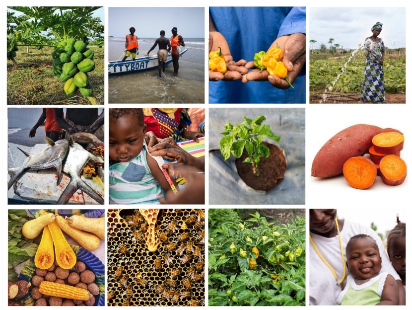 FAO, gov't partners pledge to make agri-food systems more inclusive