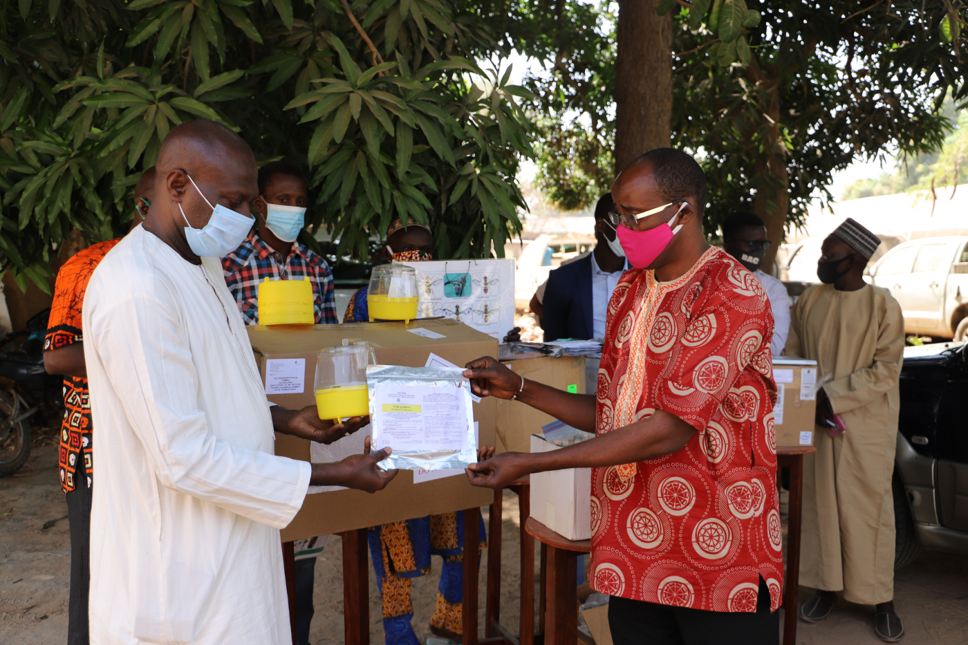 FAO hands-over fruit flies pheromone attractants, traps to Agric Department. Boosting production and export of mangoes by stemming the damage caused by fruit flies.