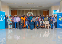 FAO partners