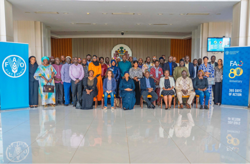 FAO, partners review progress of Gambia’s agric road map