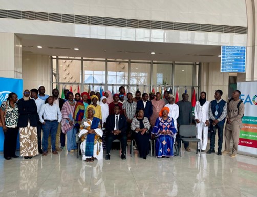 FAO urges youth-led drive to fix Gambia’s food system