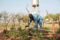FAO steps up efforts to empower youths for economic grow
