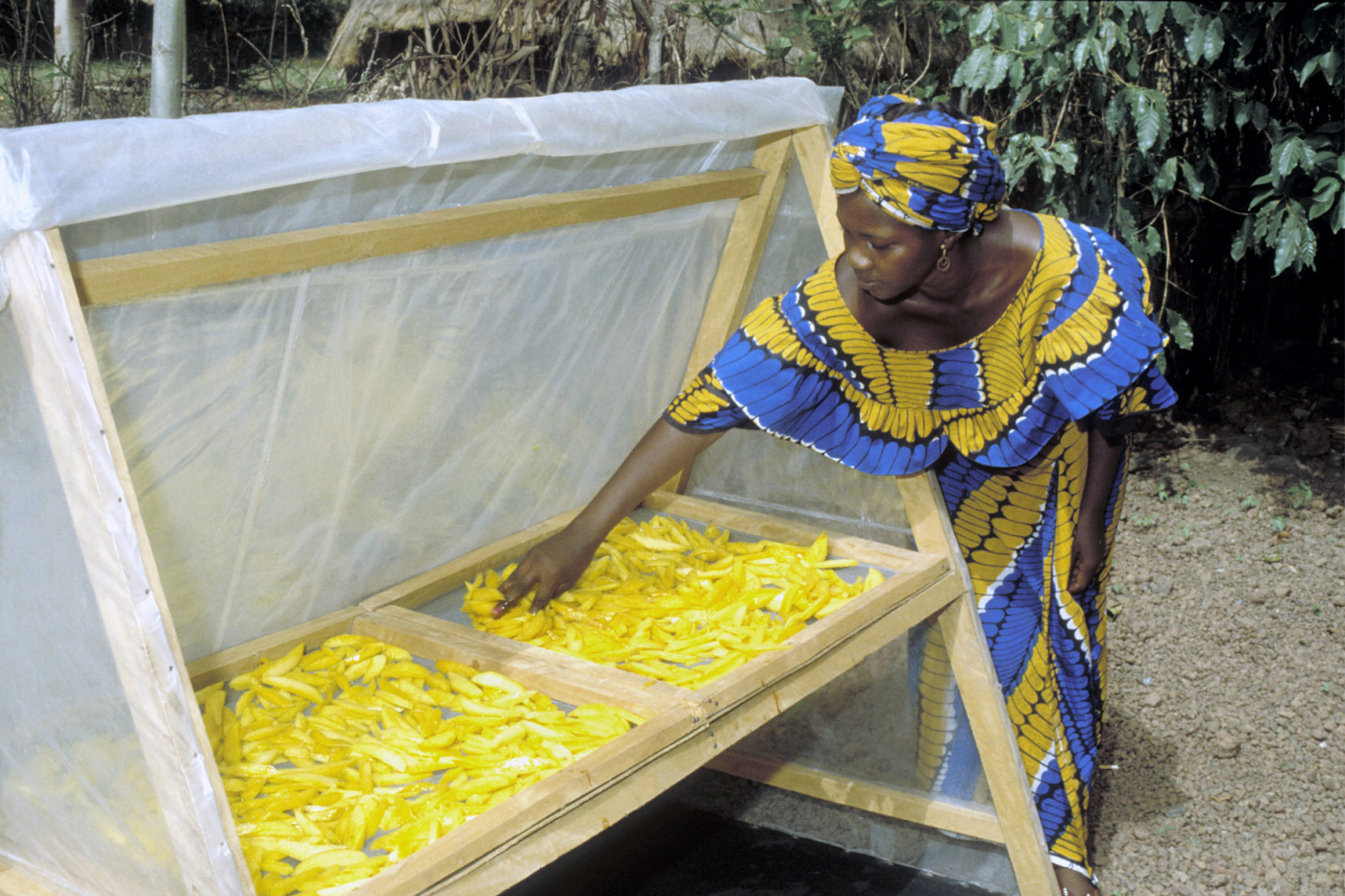 FAO: Food losses in Africa increase during COVID-19