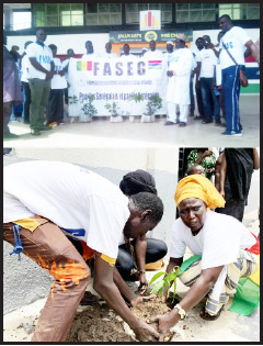 Marking its 1st anniversary: FASEG plants more trees in Banjul