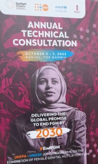 UNFPA, UNICEF discuss measures to eliminate FGM in Sub-Saharan Africa