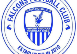 Falcons football club