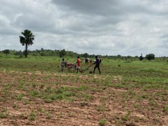 Farmers seek timely disbursement of fertilizers