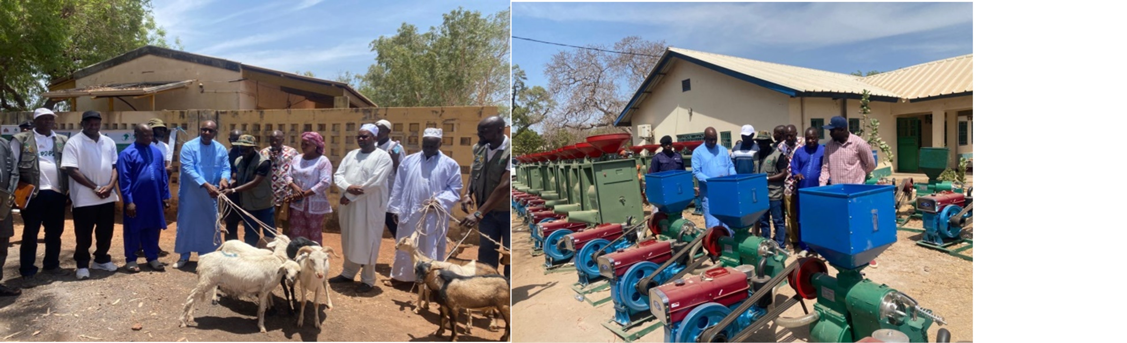 Farmers receive livestock and machines to beef up support against food insecurity in CRR