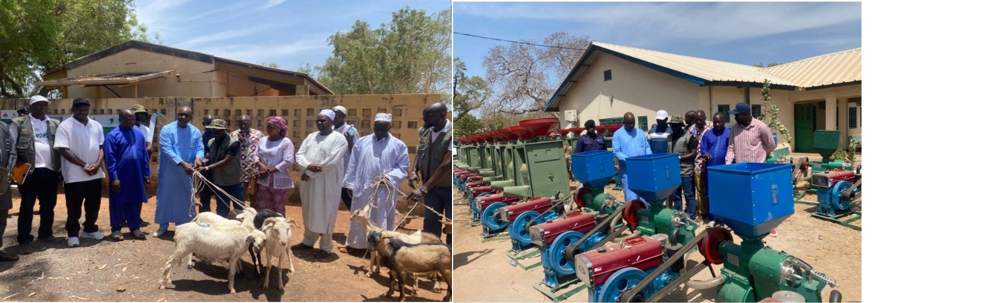 Farmers receive livestock and machines to beef up support against food insecurity in CRR