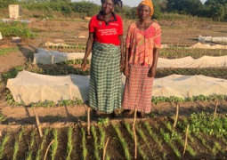 Fatou and Mai