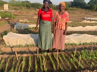 Nafa Beneficiaries Urge Stakeholders for Project Renewal