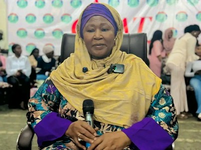 Former VP Tambajang slams Barrow for CRC collapse