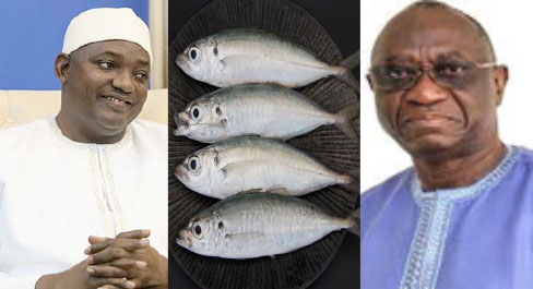 Consumers ask gov’t to tackle high fish prices