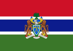Flag v3