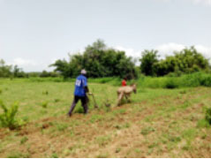 'There is need for sustainable agriculture to address growing population food demand’