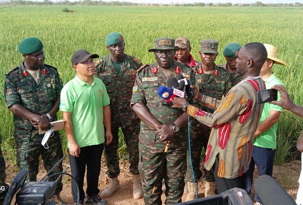 GAF to harvest over 250 tons of rice