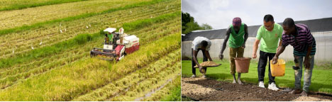 Gambia-China Agricultural Cooperation outcomes showcased at 2024 FOCAC Summit