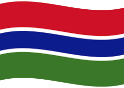 Gambia Flag v2