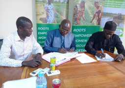 Gambia launches onion
