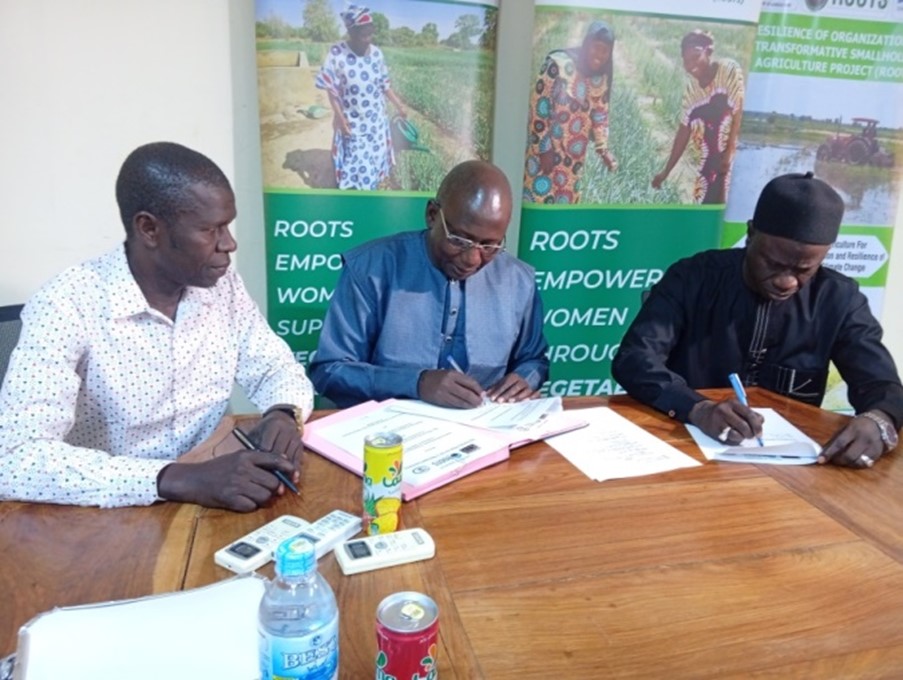 Gambia launches onion revolution with landmark market pact