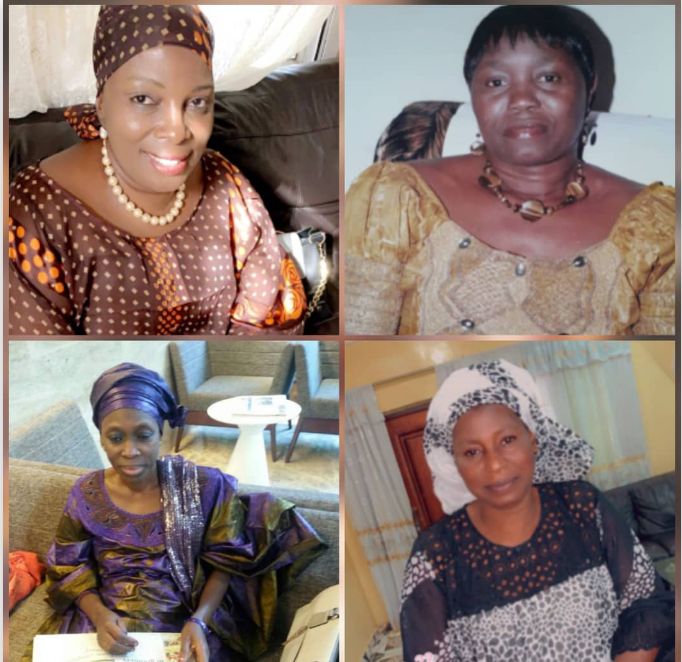 National Federation of Gambian Women seeks for financial assistance