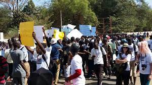 Gambians in Germany protest