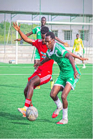 Gambinos Cup begins next month
