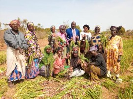 Matching Grant beneficiaries hope to produce over 650MTs of onions