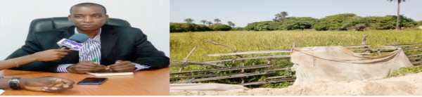 LE DEPARTEMENT DE GEOLOGIE ET LE COMITE DE DEVELOPPEMENT DU VILLAGE DE SANYANG CONFIRMENT QUE LES PLANTATIONS DE RIZ DES FEMMES DE SANYANG N’ONT PAS ETE DETRUITES