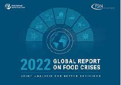 Currency depreciations risk intensifying global food, energy crisis