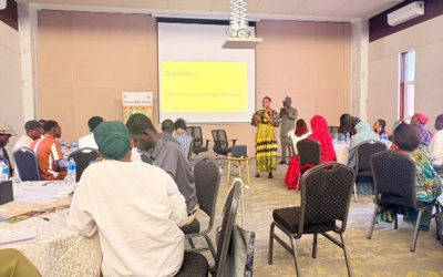 Green Rise Africa Fellowship inspires Gambian entrepreneurs