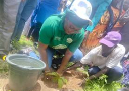 Green School Initiative