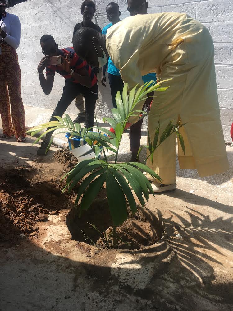 Greening inner city of Banjul project launched 