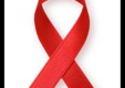 HIV v3