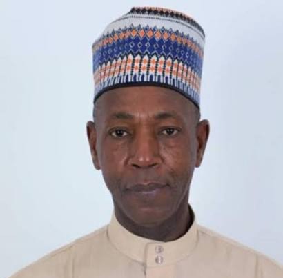 Hamat calls for calm ahead of Gambia’s December election
