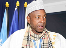 ‘Magal embodies unity, shared faith across borders’&nbsp;