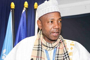 ‘Magal embodies unity, shared faith across borders’&nbsp;