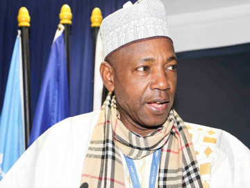 ‘Magal embodies unity, shared faith across borders’&nbsp;